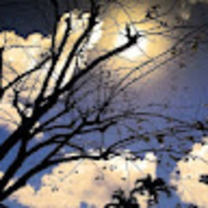 Meet your Posher, Jocelyn